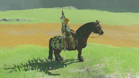 The Legend Of Zelda Tears Of The Kingdom